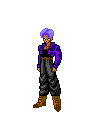 trunks12.gif